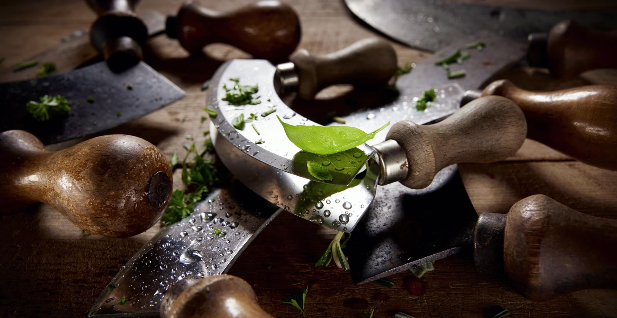 Workshop kitchen with tools and herbs